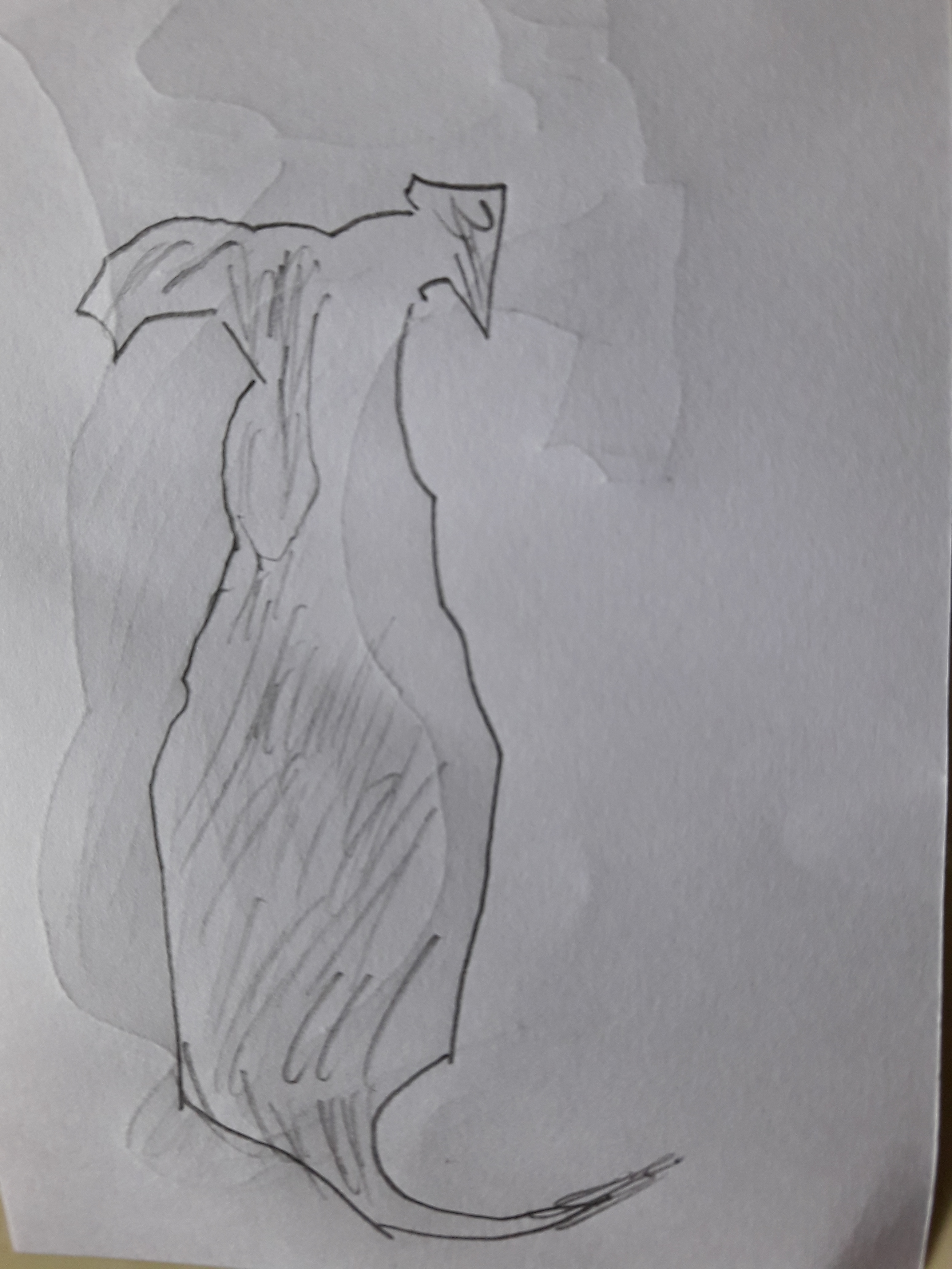 15068379541881922777749