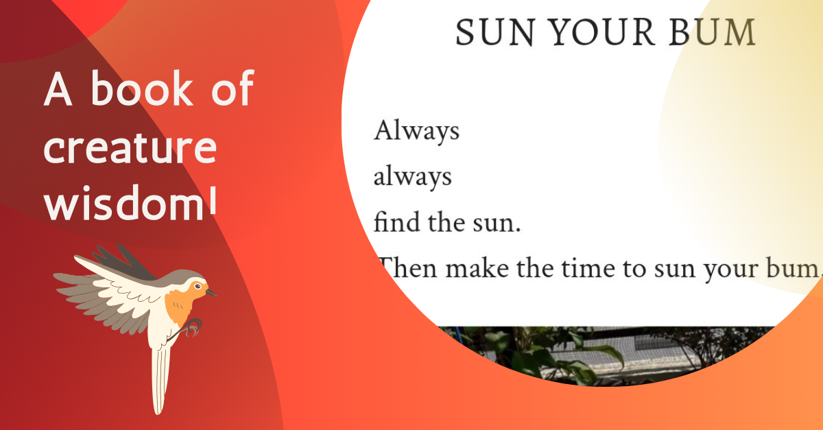 A vertical panel of four images,  with text that reads 'A book of creature wisdom!' There is a graphic of a flying bird under this text. Next to it is a part of a piece of writing that reads - 'Sun your bum. Always always find the sun, then make the time to sun your bum.' 2. Is a horizontal panel of three images, the first is a screenshot of text sharing feedback from workshop participants - 'You have given me hausla / confidence, courage. I believe now that I can do it.' The second is an image of two publications, 'The Red Book' and 'Sexuality and Disability', and the third is a screenshot of a post, with text focusing on the idea of 'the quality of the emotion'. 3. Image of the Contents page of a publication featuring a story by Shikha, called 'God's Paws', with overlaid text saying 'For Soupy. The dog who came in from the cold.' 4. Image showing a portion of a table in front of an open window, with some paper and sketches, and to the side is a couch with Dog Dusty fast asleep.