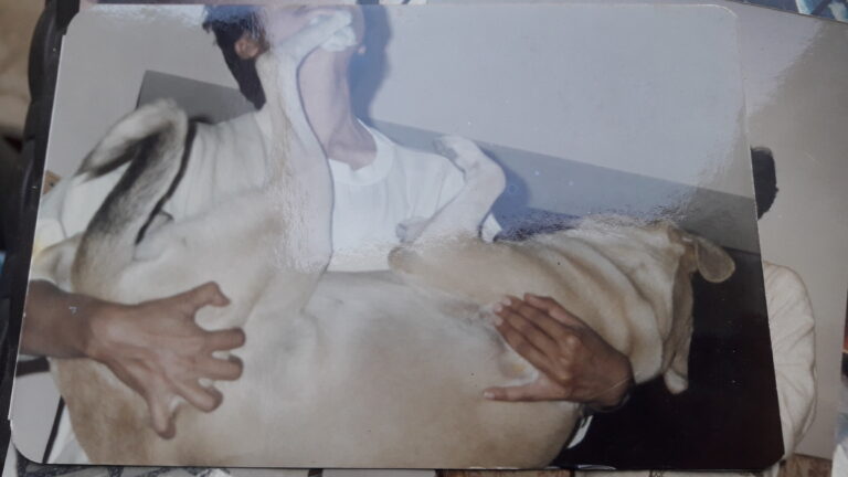 Playing with a large dog - Soupy, in the writers arms. kicking up his hindlegs.